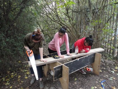 3 people hold a long plant of wood on a carpentry table in woodland setting, whilst 1 person holds a saw