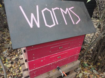 red/pink stack of rectangular boxes with black roof with the word 'Worms' written in tape. The boxes have compartments with handles (windows), and a tap is visible at the bottom.