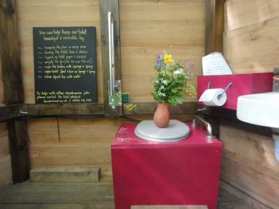 interior of compost toilet, shows pink toilet box with grey lid. On top of the lid is a terracotta vase with colourful flowers in it. The toilet has metal hand rails on either side and a black board reads: "You can help keep our toilet beautiful and accessible by:" followed by a list. On the right is toilet roll attached to a pink box and the edge of a white basin 