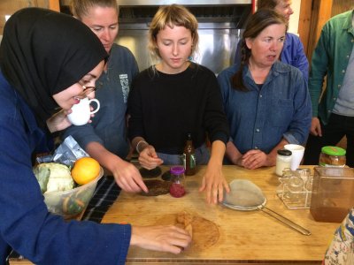 people stand round a kitchen table, all reaching for a kombucha SCOBY that is laid out on a chopping board, it looks shiny and slimy and the people look fascinated and curious.