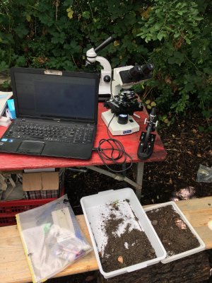 3 microscopes on a table in a garden, connected to a lap top, with trays  containing soil samples scattered around