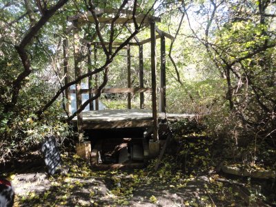 raised open wooden structure under-construction in dappled light in woodland setting. Under the structure is a chamber