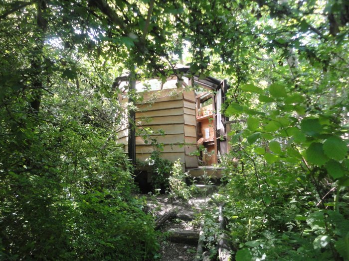 A small wooden cladded building surrounded by trees with door slightly ajar