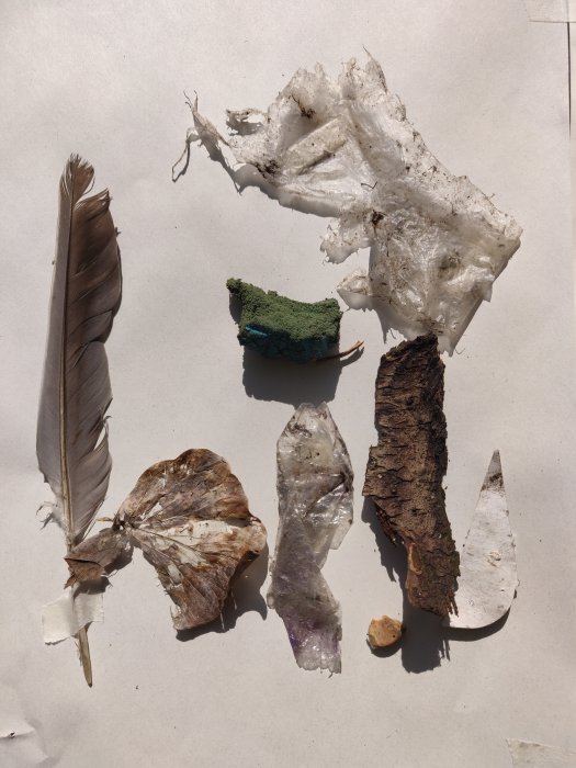 a collection of objects gathered from the park on a white background, objects include: a feather, thin pieces of dirty plastic, a piece of foam, leaves, bark etc.